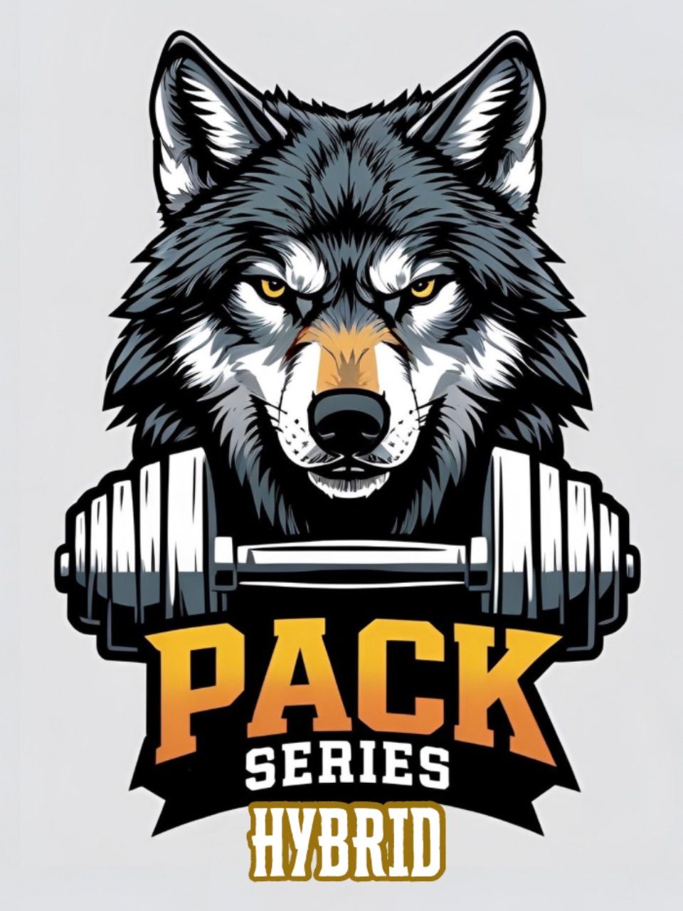 Pack Series « Hybrid Edition »