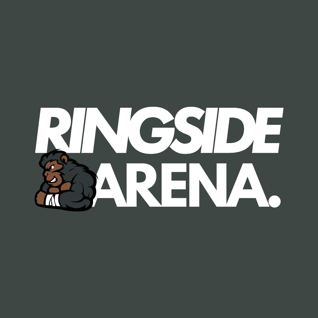 HYROX SIMULATION RACE – Ringside Arena 2025 (Reims)
