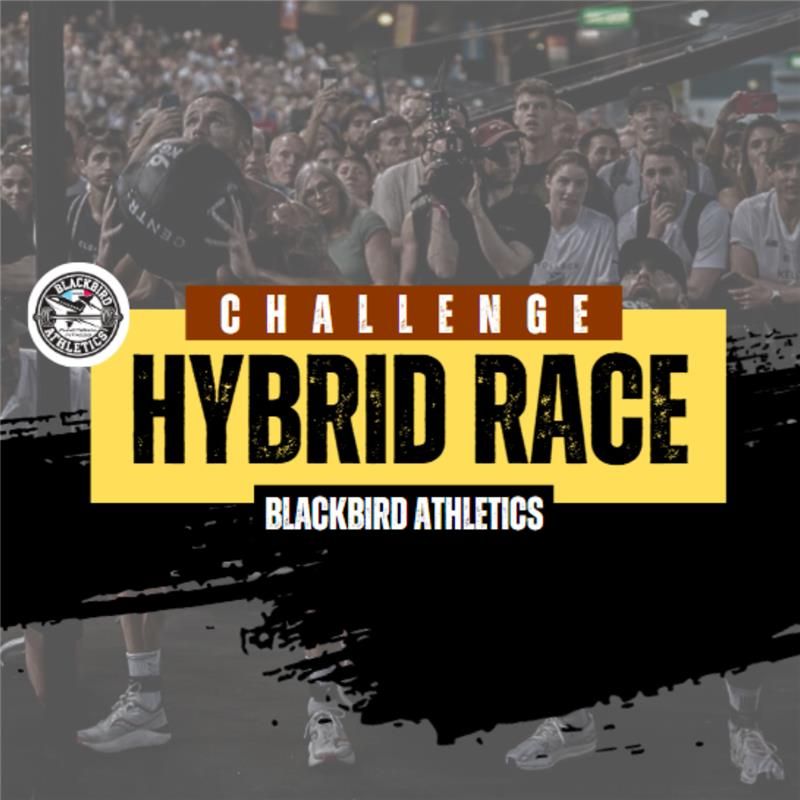 Blackbird Hybrid Race