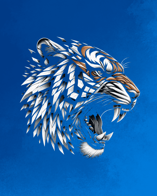 TIGER CONTEST 9