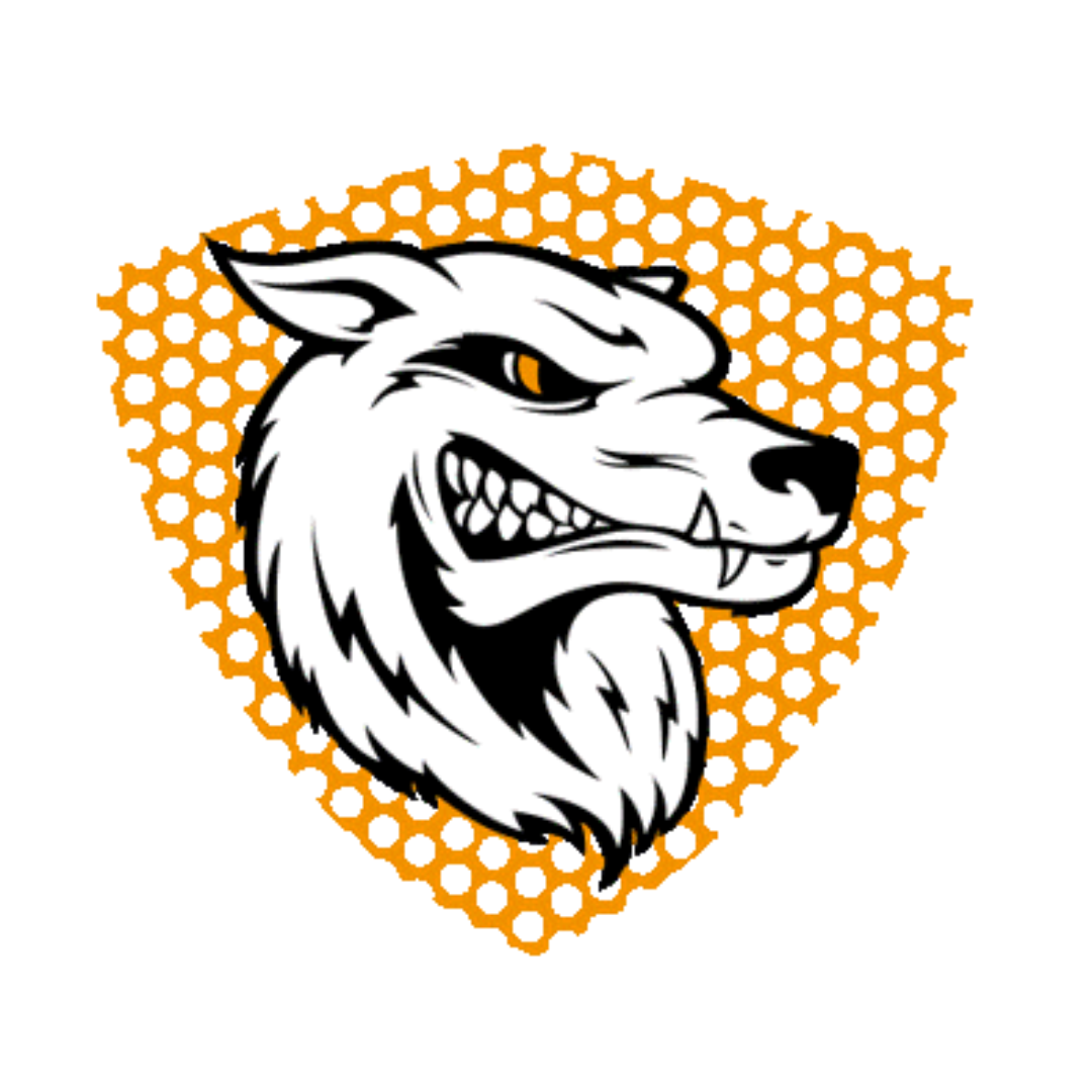 The Wolves Hyrox Simulation Race