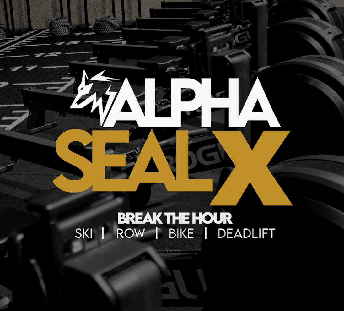 Alpha Seal X « Break the hour »
